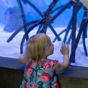 Meet your Posher, Stoney